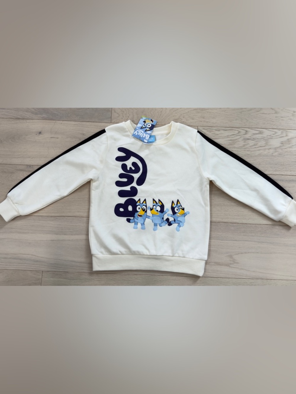 Bluey Graphic Kids Sweatshirt Size 4T- Brand NWT